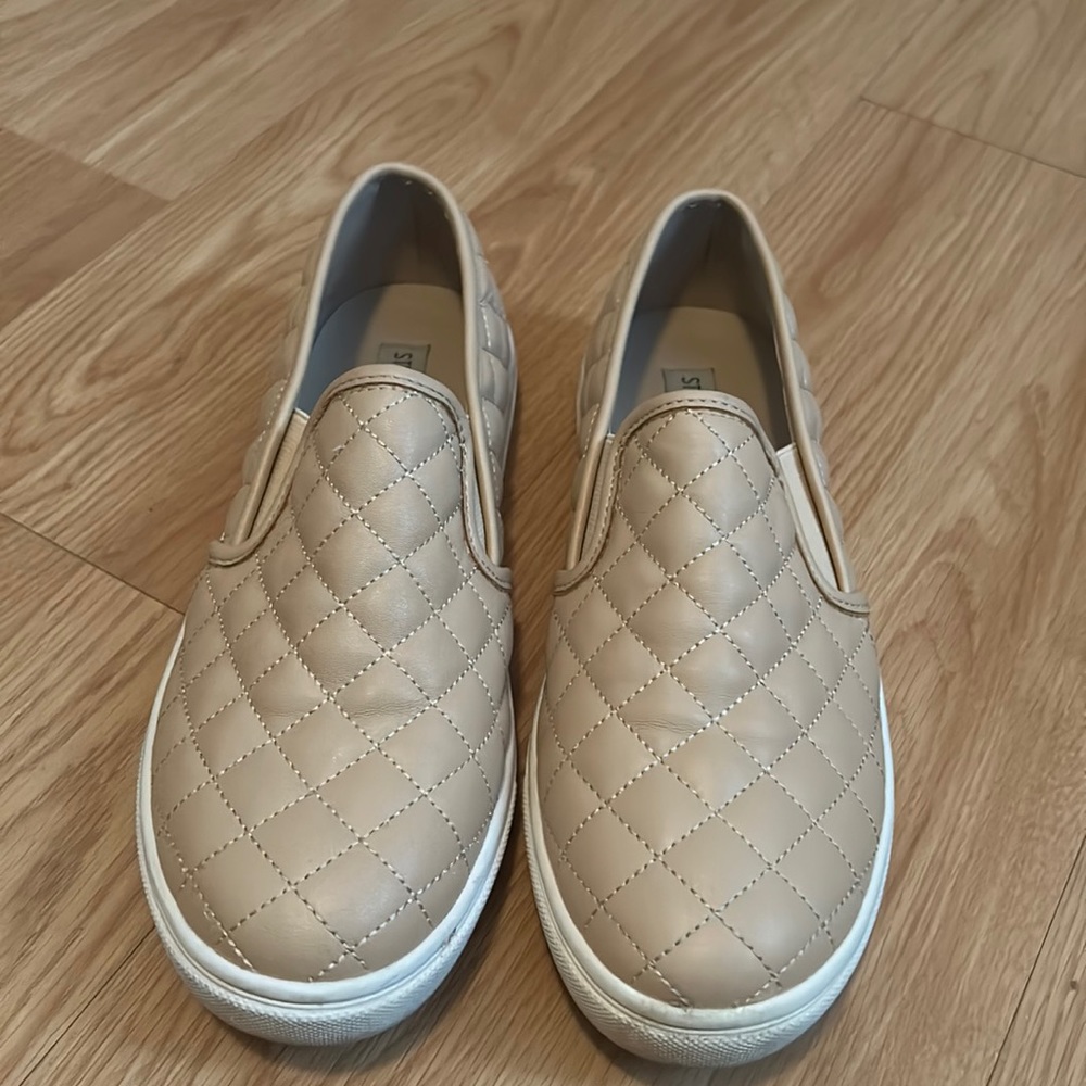 Steve madden shoes